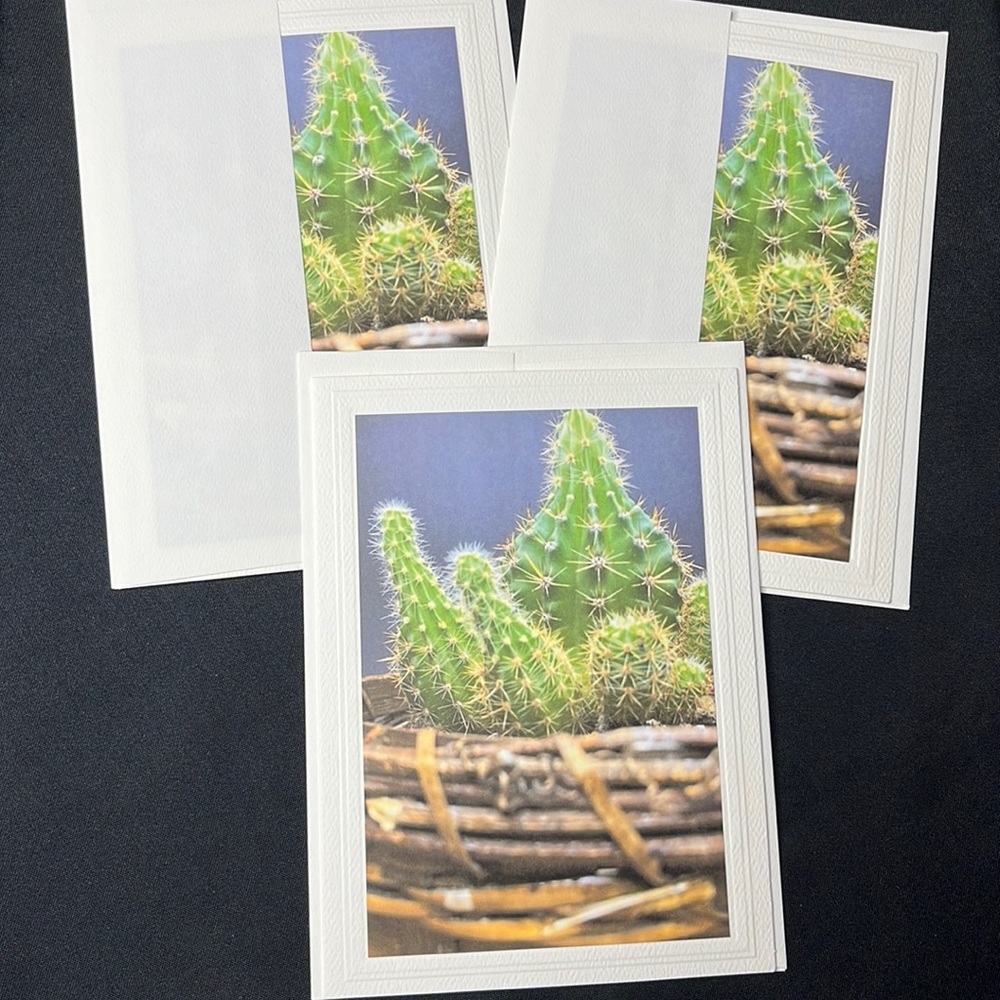 Set of 3 Hand crafted greeting cards with envelopes. Blank inside